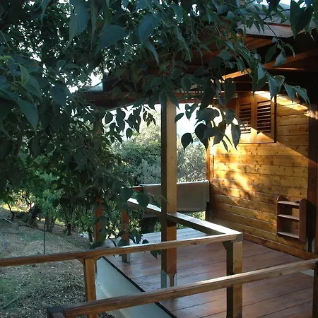 Meditation Center Osho Sammasati Guest house