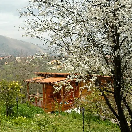 Meditation Center Osho Sammasati Guest house Monreale
