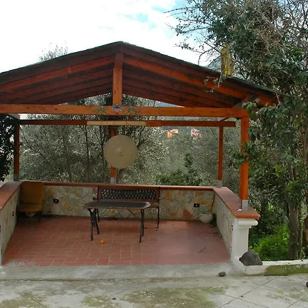Meditation Center Osho Sammasati *