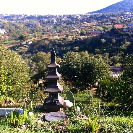 Meditation Center Osho Sammasati *
