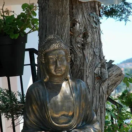 Meditation Center Osho Sammasati *